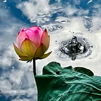 original sound - goohkuan