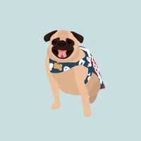 coraapug