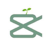 suara asli - CapCut Templates