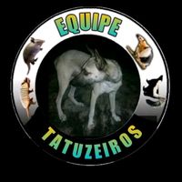 equipetatuzeiros81518554