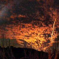 a_boys_deep_thoughts