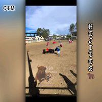 hojitos_jhunior_ctm_24