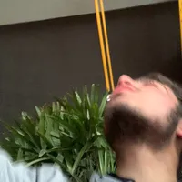 original sound - scotchx_