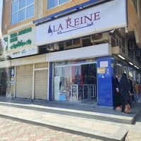 alreine8