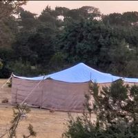 الصوت الأصلي