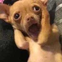 yuno miles doin despicable things bruh