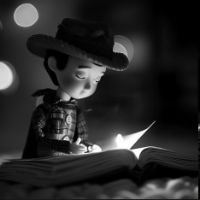 storytellerwhimsyzone