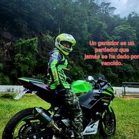 amarilla_rober