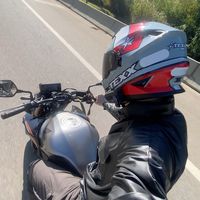 _tamiozzo_
