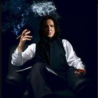 giusysnape
