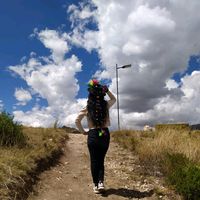 mileydi.javierramos08