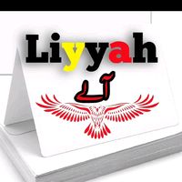 alishamsheer243