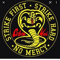 cobra_kai.clipzzzz