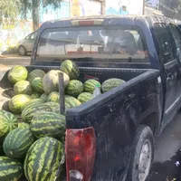 original sound - merluzomalopalcat