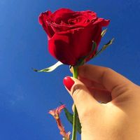 user501612224