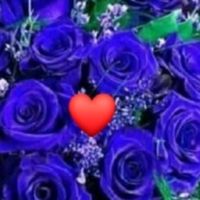 ceciliacecilia98