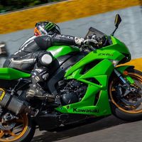 bikergreen6