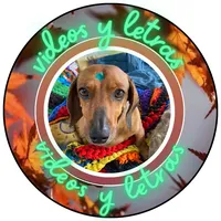 original sound - blogindira