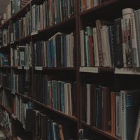 book_indulger