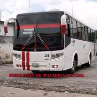 transportes_pozarica_mx