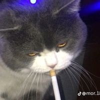 suara asli - ariyadi102