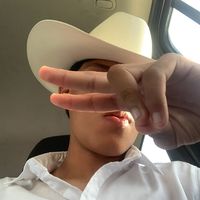 alan_dt2