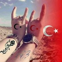 ezocan31