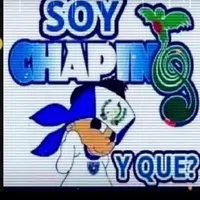 original sound - gt.chapn.502