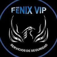 fenixvip_seguridad_a1