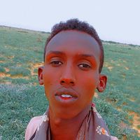 siciid.walanbiye