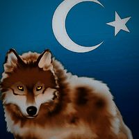 boxihg1.1.0sabir