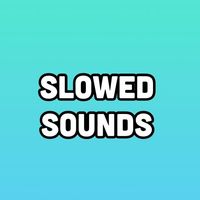 Check the sound maker