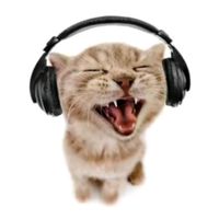 оригинальный звук