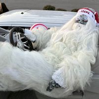 white_thang
