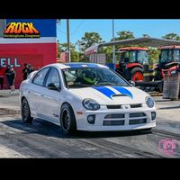 alexsrt41993