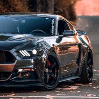 .robertoz411