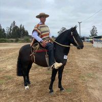 joseluisgongazale1