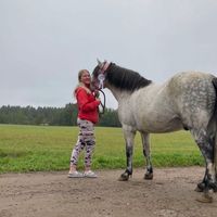 _hepostelua_