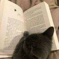 thebookkkkkkkkk