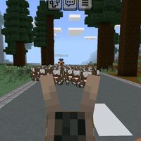 comitiva_conquista22