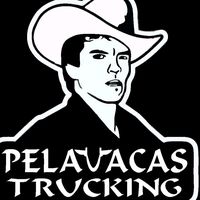 pelavacas_trucking