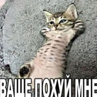 оригинальный звук