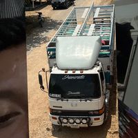 pulga9759