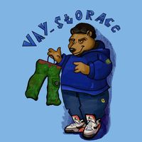 vay_storage