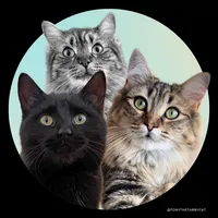 original sound - tonythetabbycat