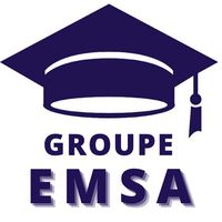 emsagroupe