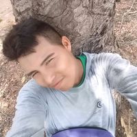brianosouzapires