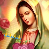 catarina.pastor1