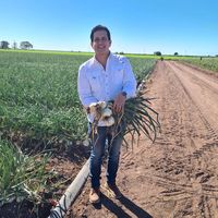 sonido original - comentarios_mx