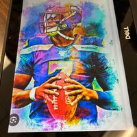 hawkseditz1